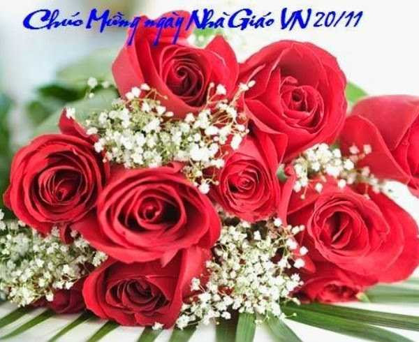 bo-hinh-nen-chuc-mung-ngay-20-11-dep-6563436e6acbeb