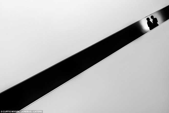 Nhung buc anh cuoi dep nhat nam 2016 hinh anh 9