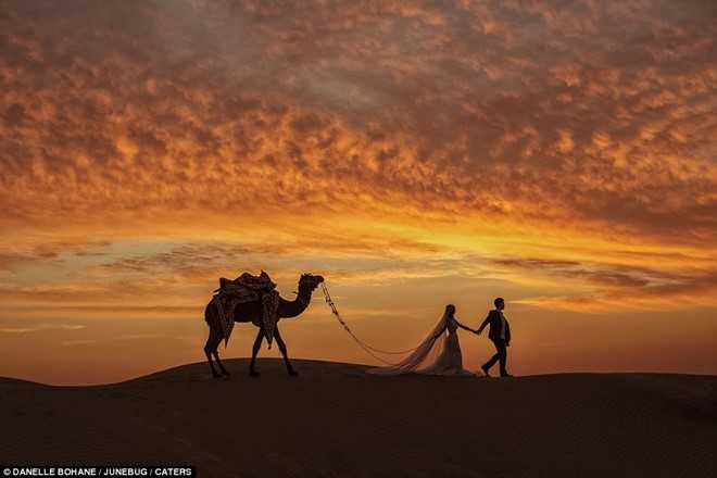 Nhung buc anh cuoi dep nhat nam 2016 hinh anh 2