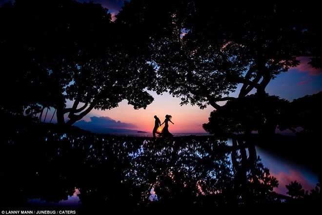 Nhung buc anh cuoi dep nhat nam 2016 hinh anh 15