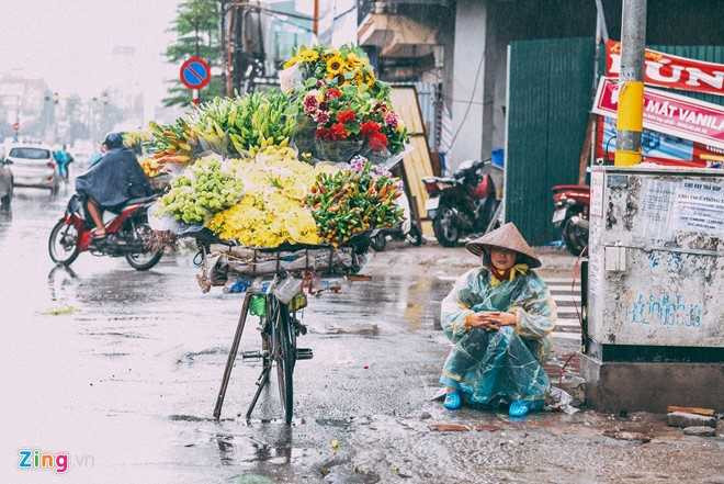 Nhung canh doi muu sinh trong mua lanh hinh anh 1