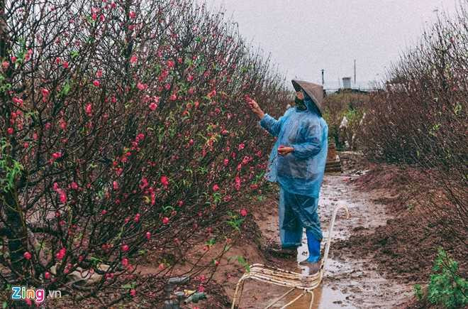 Nhung canh doi muu sinh trong mua lanh hinh anh 14