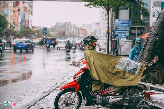 Nhung canh doi muu sinh trong mua lanh hinh anh 3