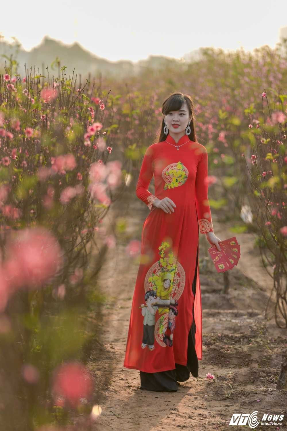 32335704082_36761e9cc1_o