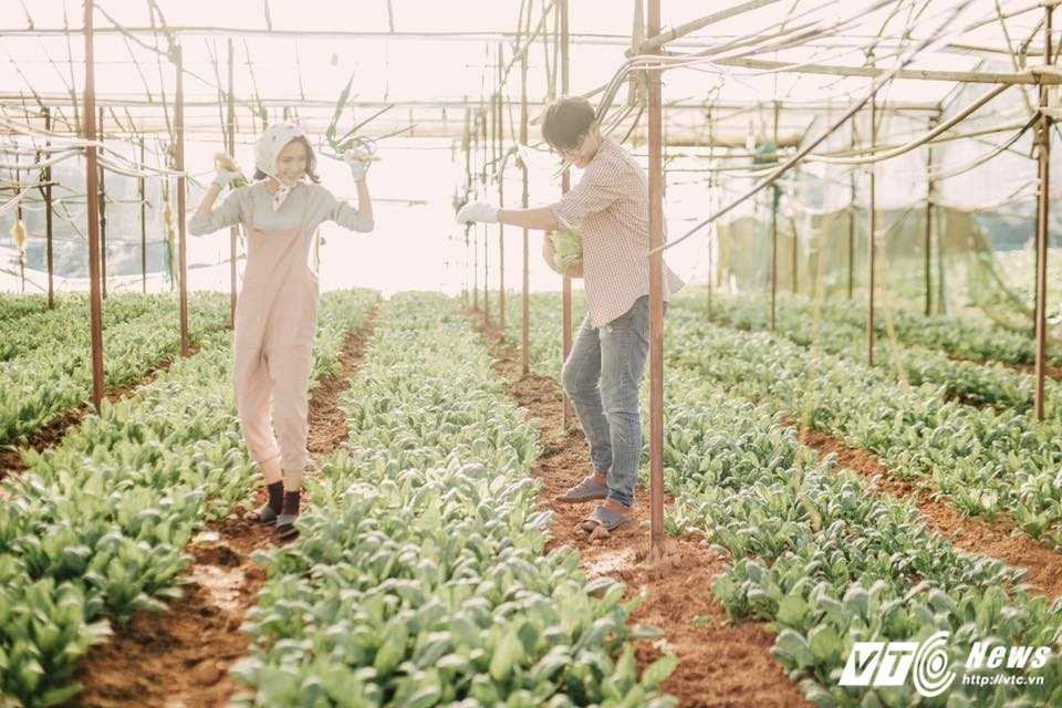 16387094_10206397075884797_8463352593251432608_n