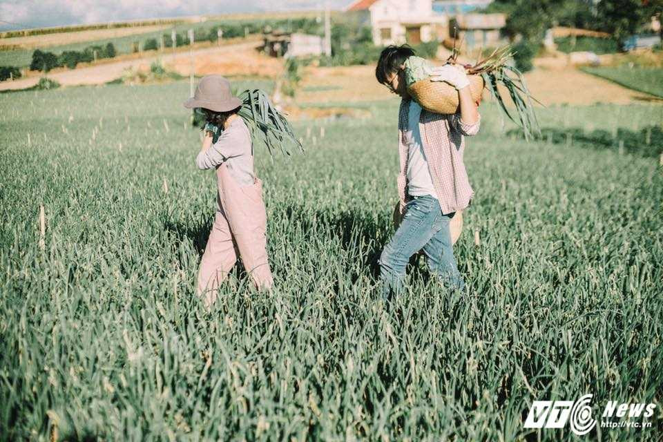 16425913_10206397079324883_6166305357062334750_n