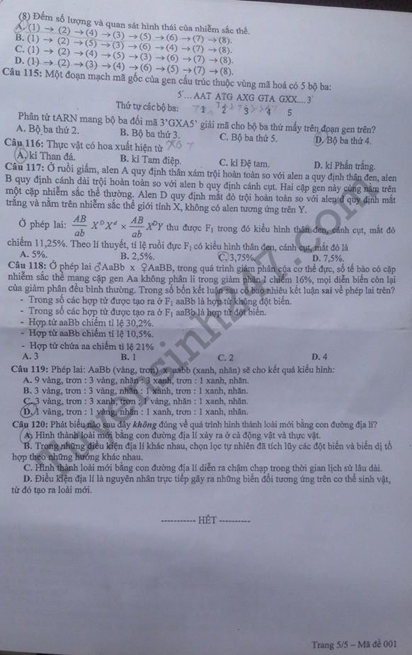 De thi thu THPTQG mon Sinh - So GD Ha Noi 2017