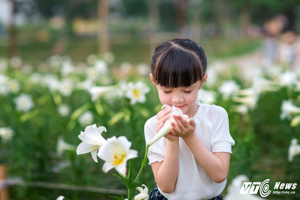 Hinh anh Nhoc ty 5 tuoi de thuong dep diu dang ben hoa loa ken 19