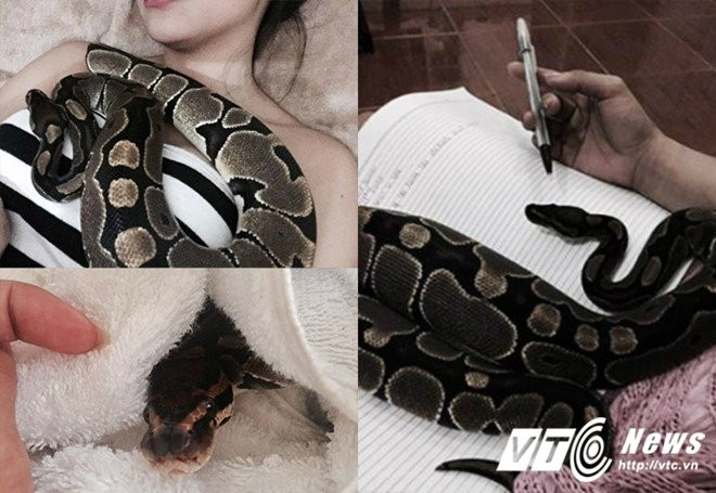 Hinh anh Nhung co giao noi tieng cong dong mang vi qua xinh dep