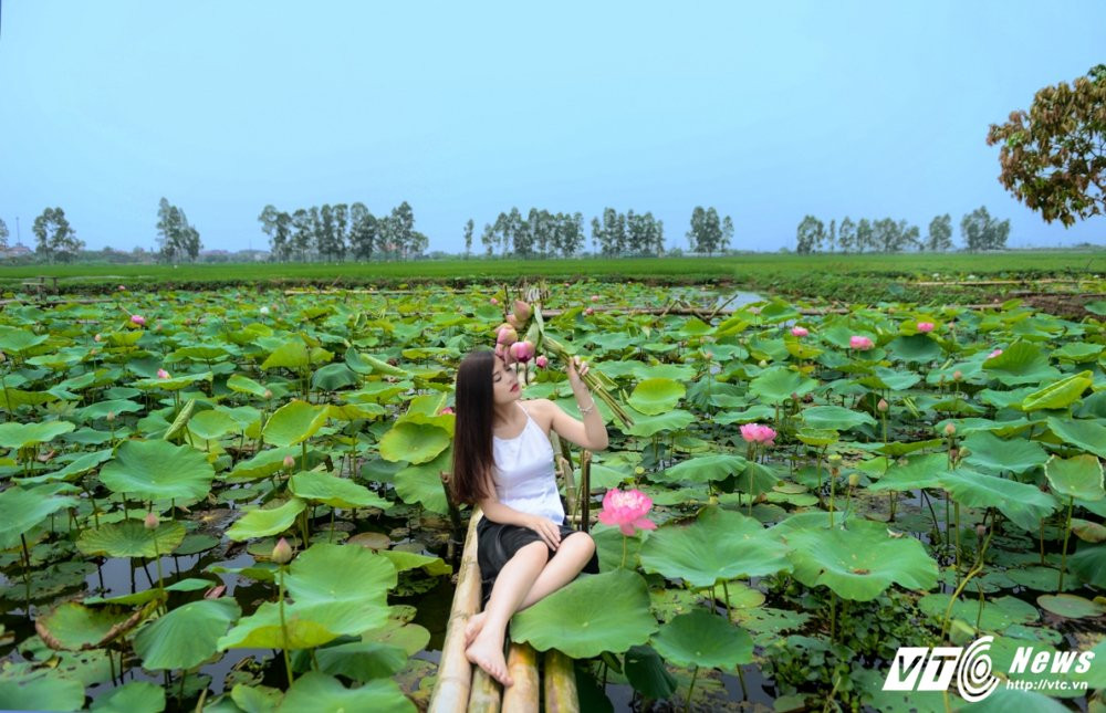 Hinh anh Hot girl Ha thanh dep me hon ben sen dau mua 13