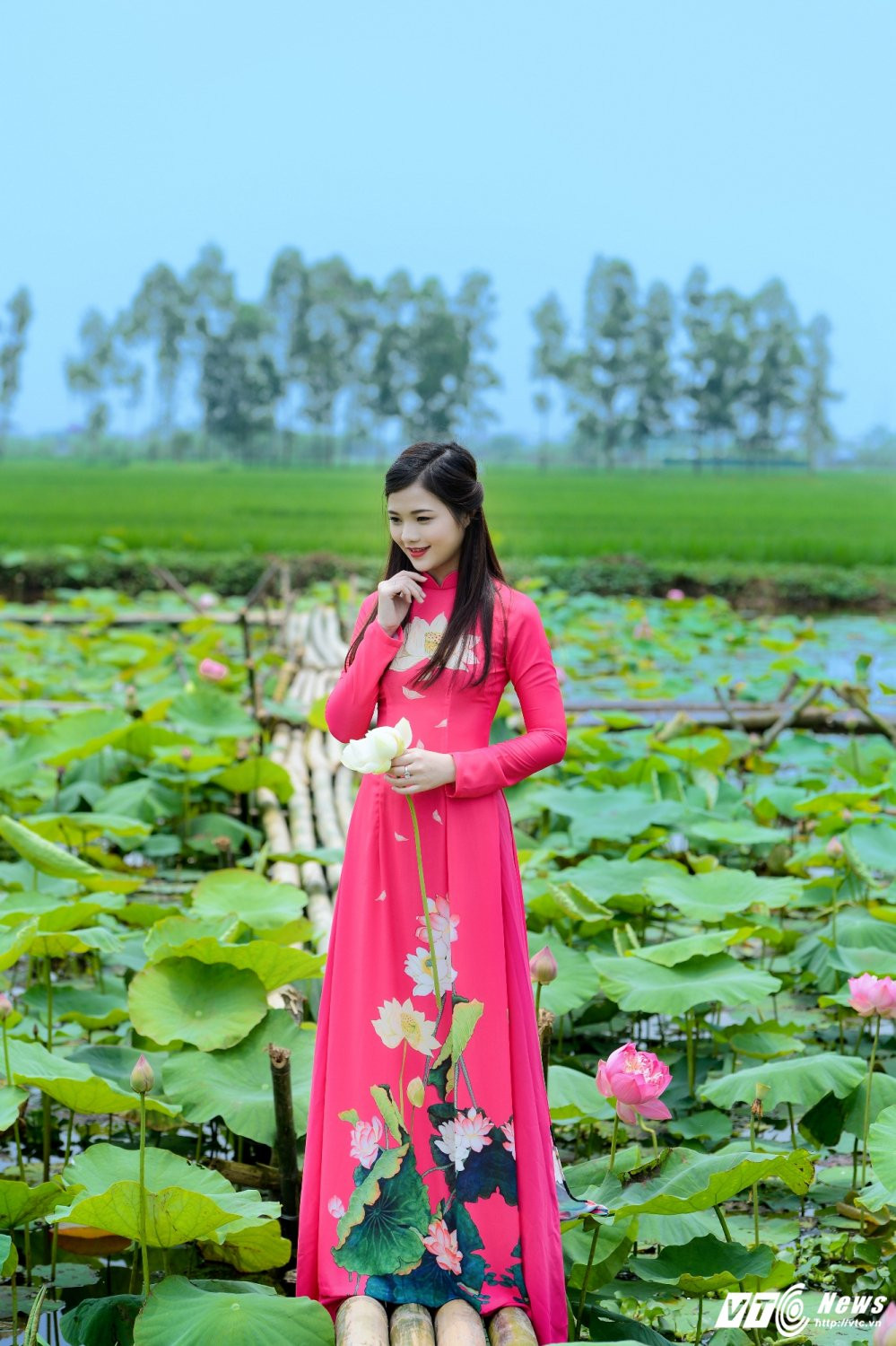 Hinh anh Hot girl Ha thanh dep me hon ben sen dau mua 17