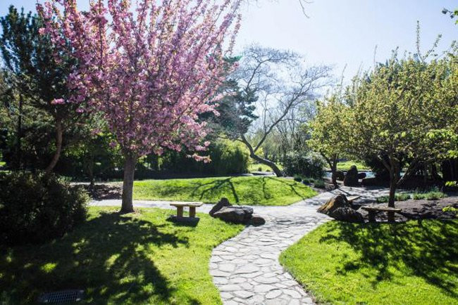 10 truong dai hoc dep hon khu nghi duong hang dau the gioi hinh anh 6