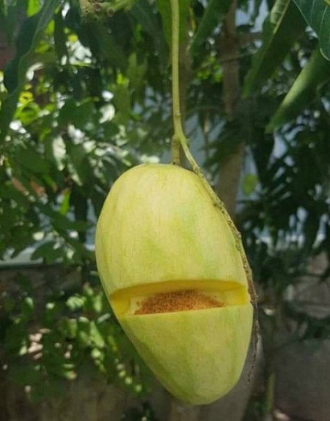 Hinh anh 6