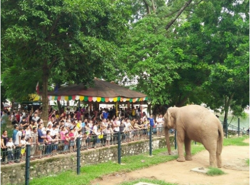 Hinh anh Nhung dia diem vui choi hap dan cho tre em Ha Noi ngay 1/6 3