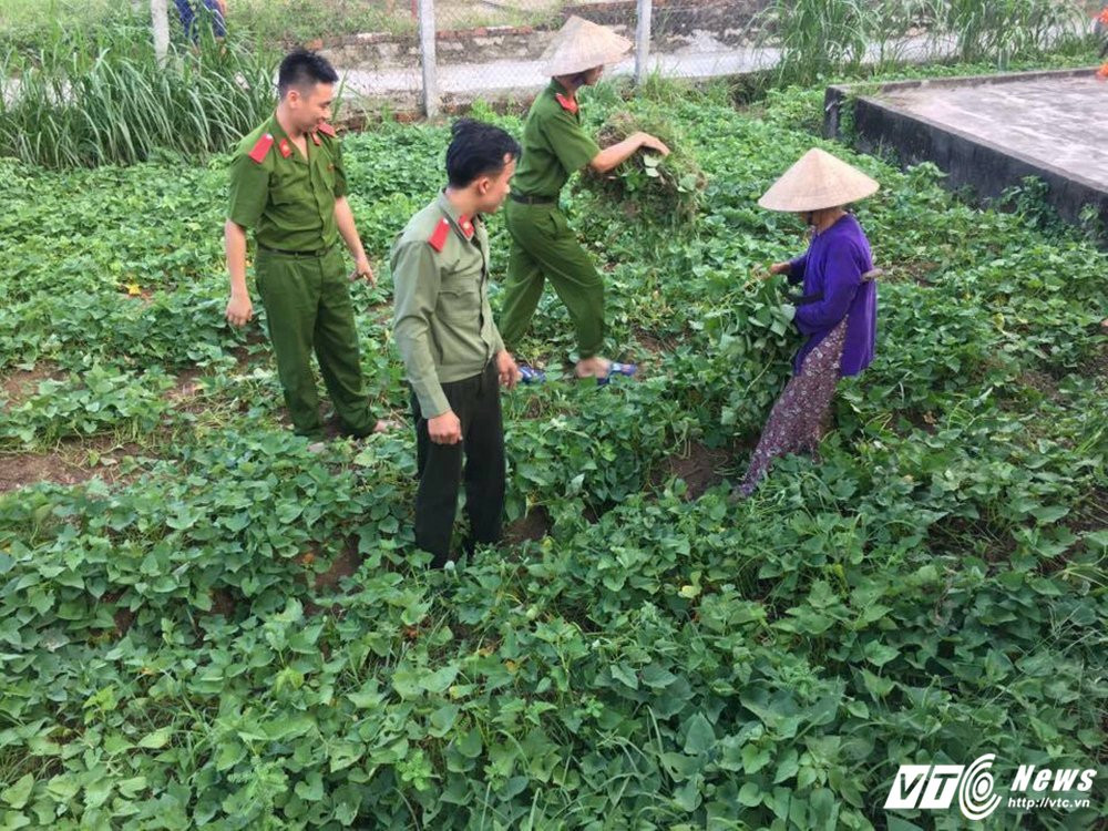 20289581_500569506943244_438779709_n 5