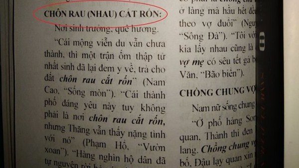 Ý Nghĩa của 