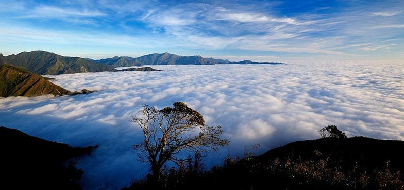 15400557_1329515110412251_527933605453414401_n 5