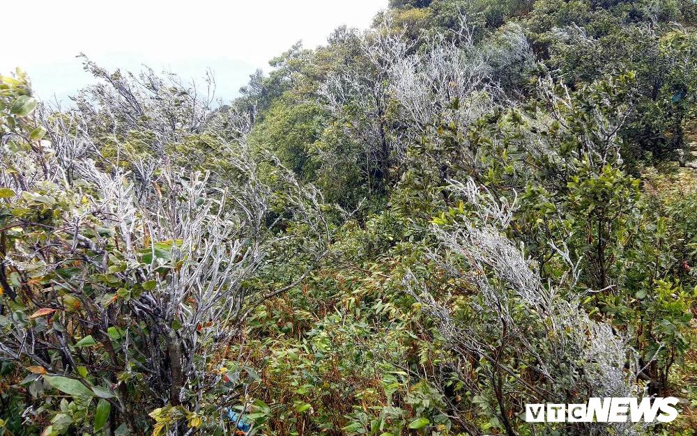 Dự báo thời tiết ngày 10/1