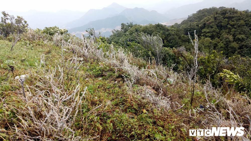 26781697_994448540712623_376876743_o 4