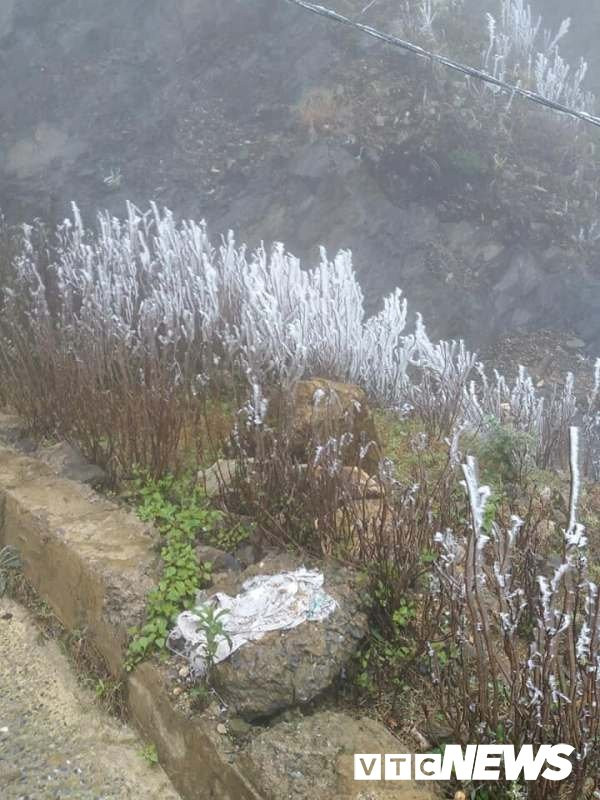 26694801_1990430504533625_2073174755_n (1)