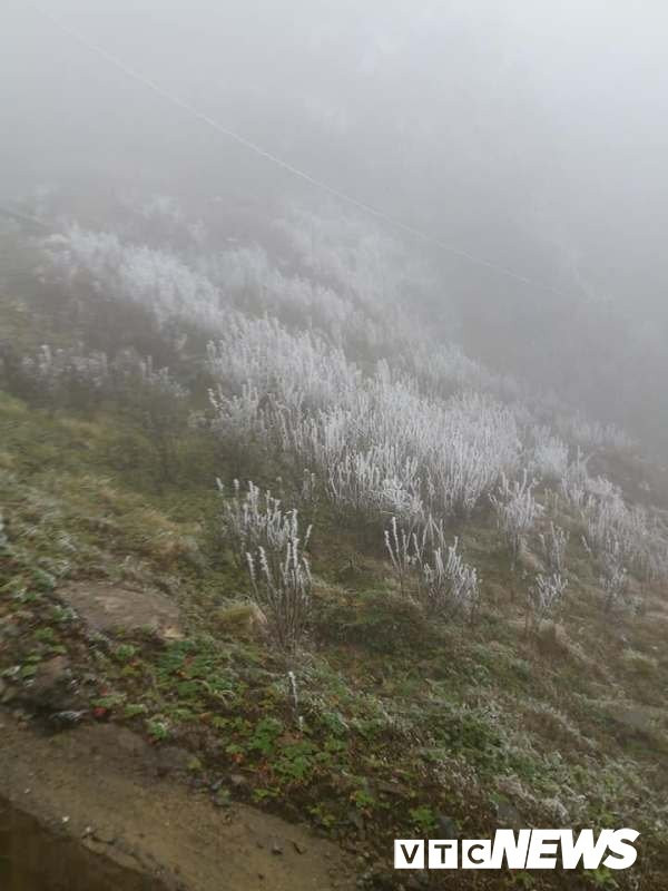 26696104_1990430514533624_1782150357_n