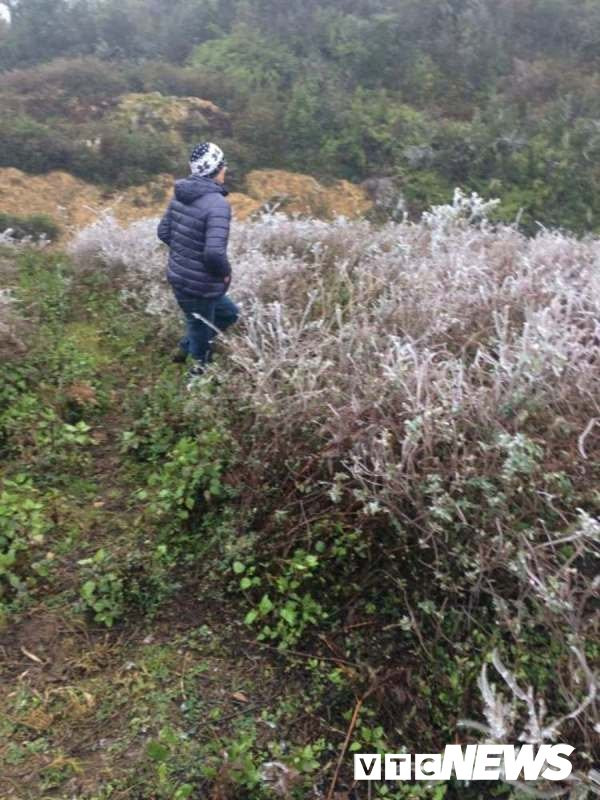 26735194_1990466097863399_1012440896_o 27