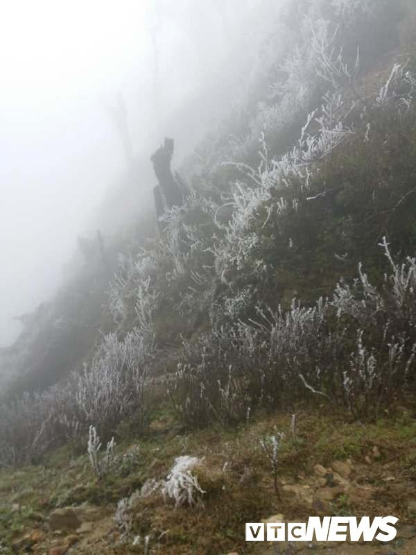 26754320_1990430491200293_1080628279_n 3