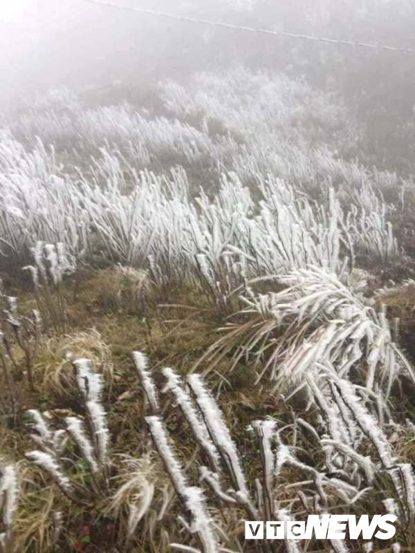 26803526_1990466134530062_1063099602_n 26