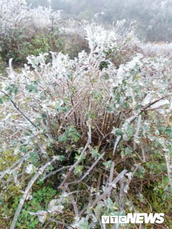 26829210_1990466061196736_740286033_o 25