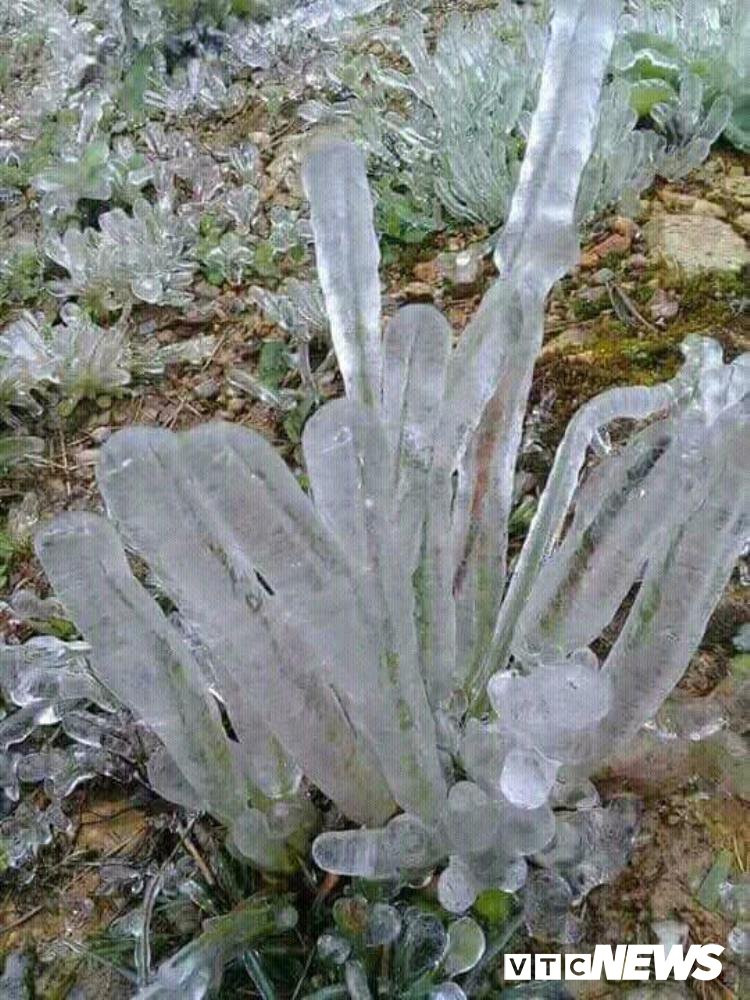 26754254_1761037883966305_1759993546_n