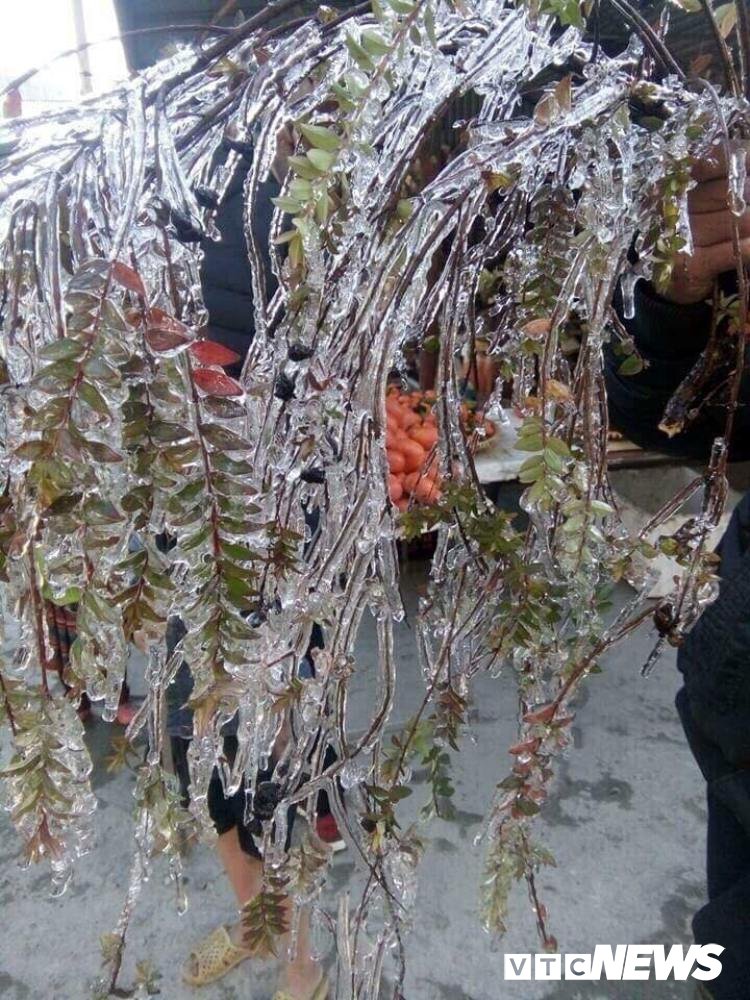 26754435_1761037693966324_1635828504_n