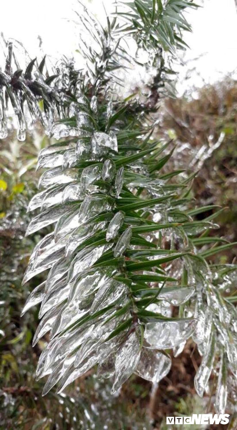 26803298_1761140250622735_1922181924_n 13