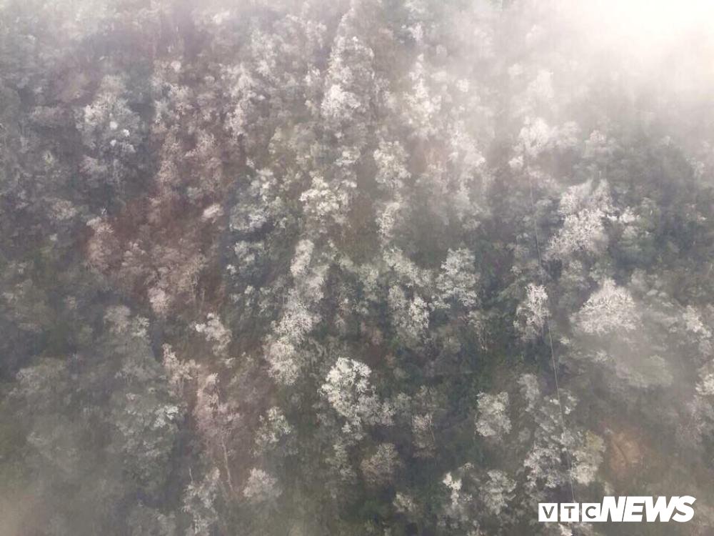 26855597_1761033087300118_1184180000_n 4