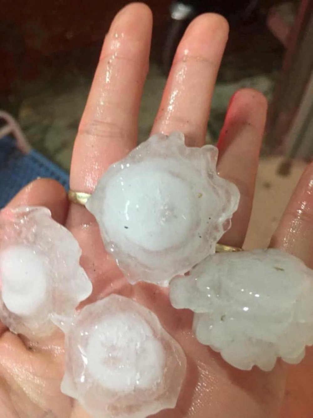 28468037_1726259950729555_6747043787011491107_n 5