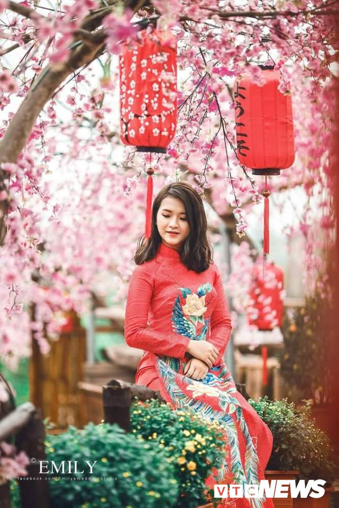 28953866_1233065330161496_8539249524695415672_o 17