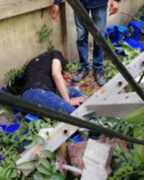 32089375_792289400957054_7486745359822094336_n 4