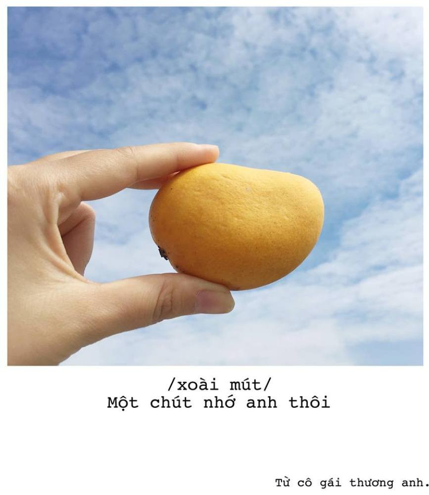 33181650_999651373522196_4911791047144636416_n 11