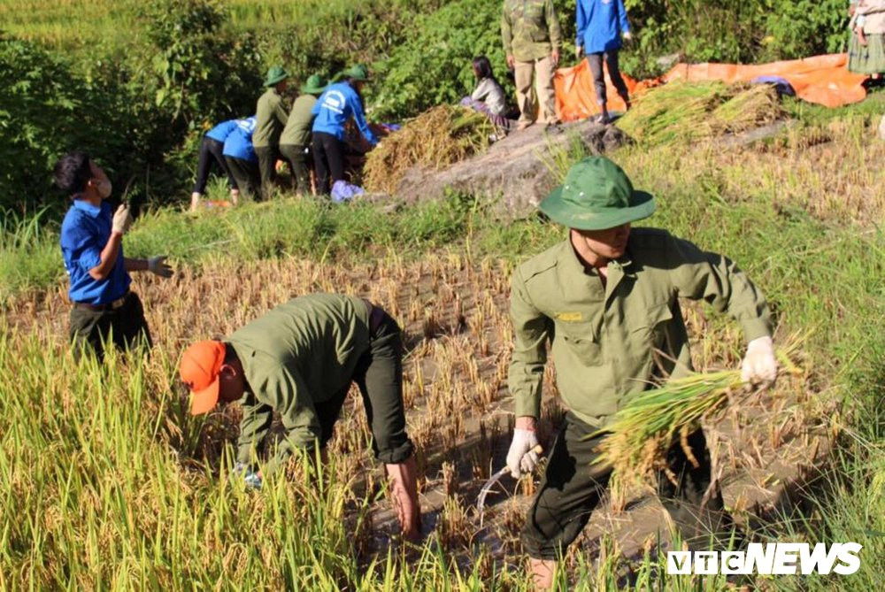 36340463_2052399395011293_4630482779589574656_n 3