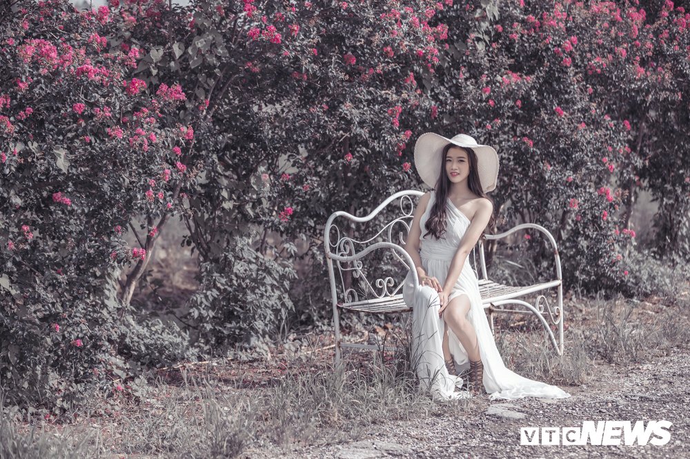 41903544700_183df75163_o 8