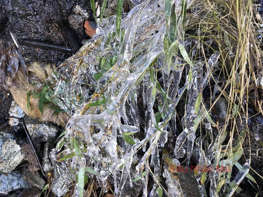 47083127_2069523023069911_8942171542914072576_n 3