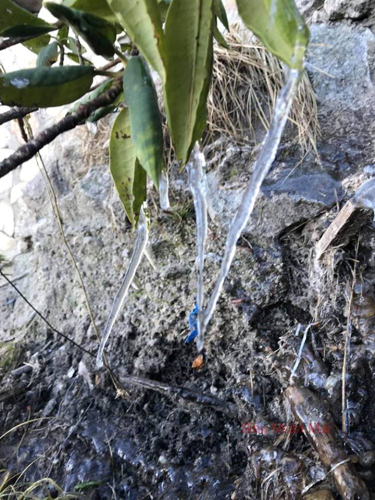 47089519_2069523059736574_5745237001485942784_n 4