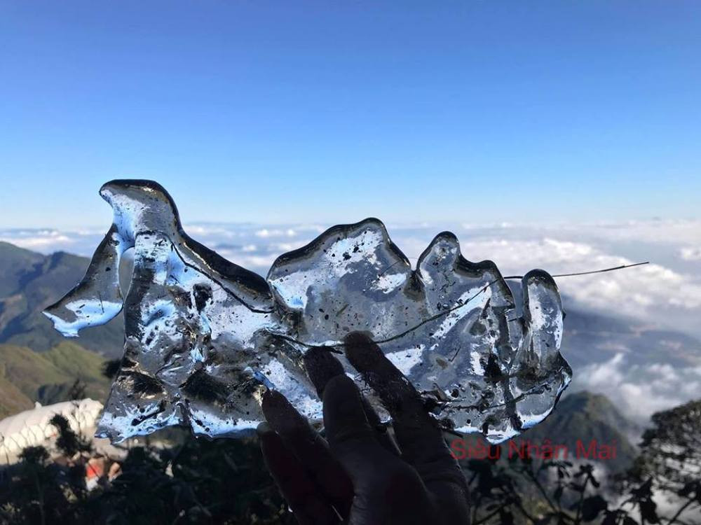 47090548_2069522969736583_8880456281664520192_n 5