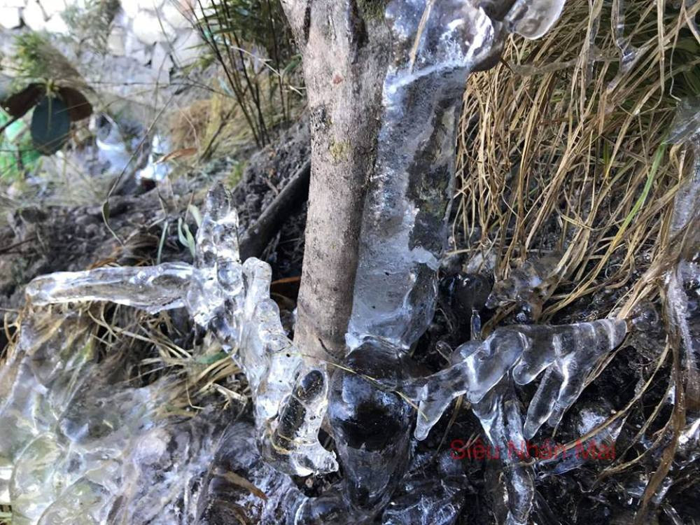 47159676_2069522983069915_9037138196156121088_n 7