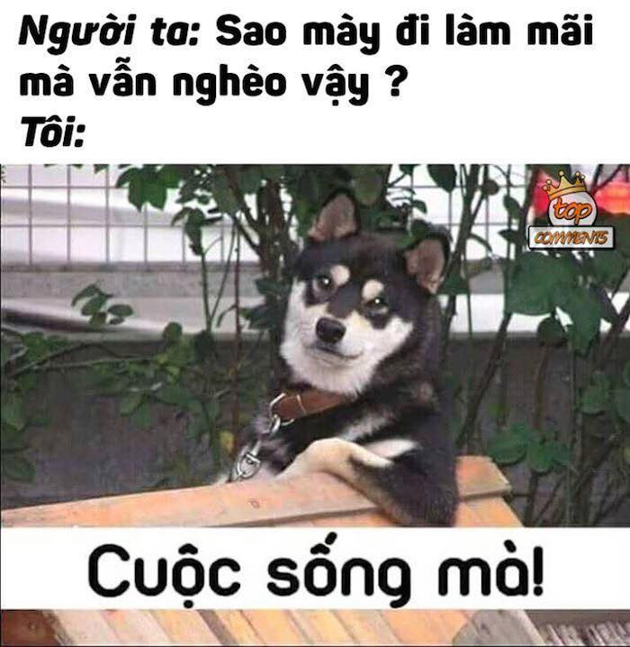 49103444_321685322017398_1786137814480453632_n 11