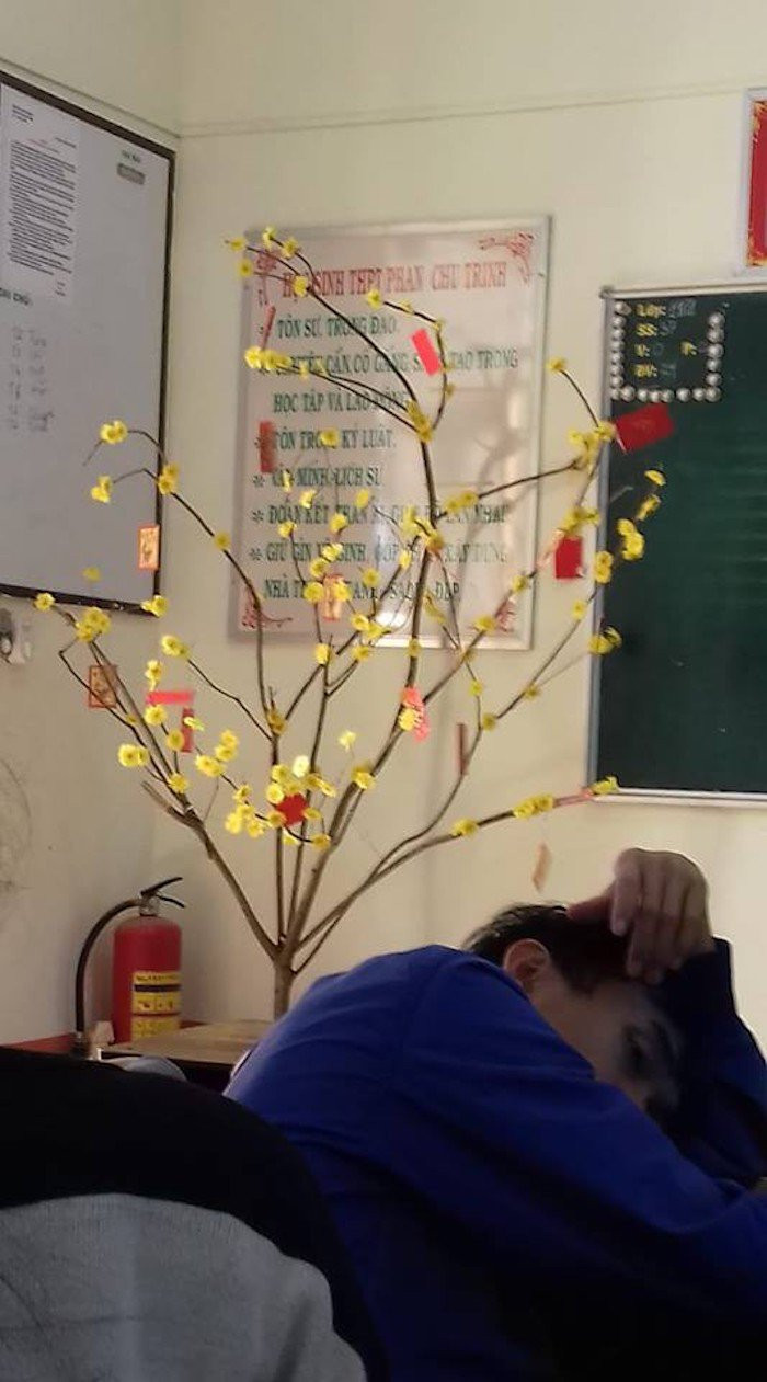 photo-1-15482918802701120804079 8