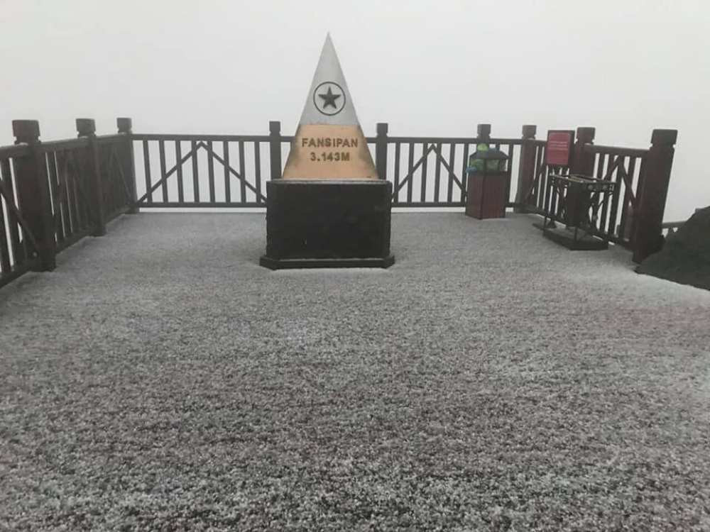 52109848_2183941444961401_2102318424750292992_n