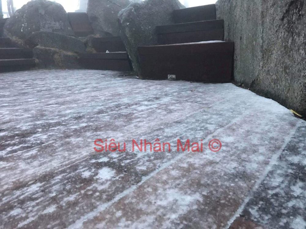 52434172_254241005512965_1580771444961312768_n