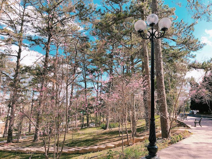 52123757_1240692292764158_7140508946371969024_o