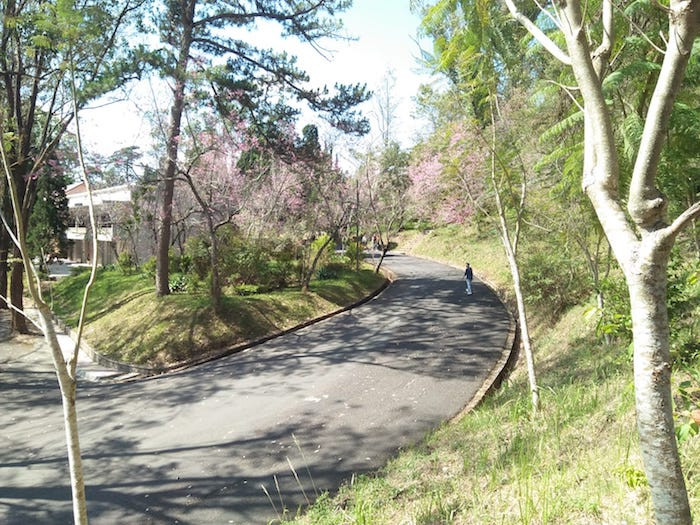 52470624_2254124004914476_5641865908994441216_o 5