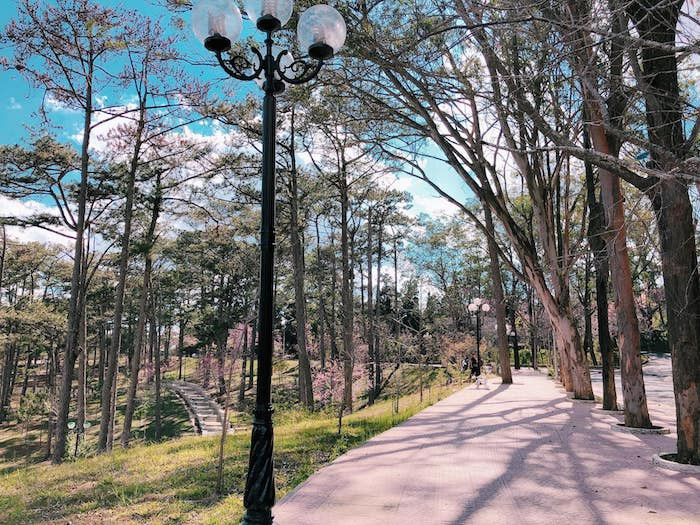 52830413_1240692316097489_3223139051729059840_o 8